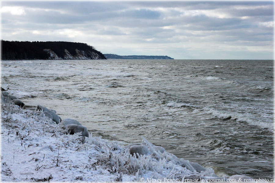 Фото жизнь (light) - Алексей Певнев - корневой каталог - * * *
