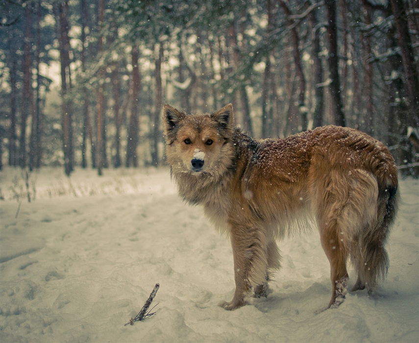 Фото жизнь