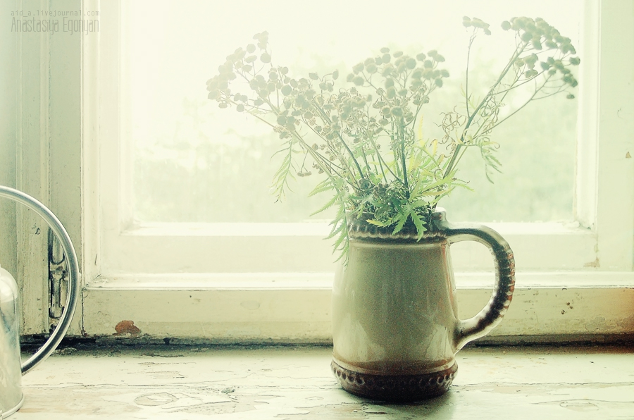 Фото жизнь (light) - Анастасия Егоньян - корневой каталог - Лето на окне.