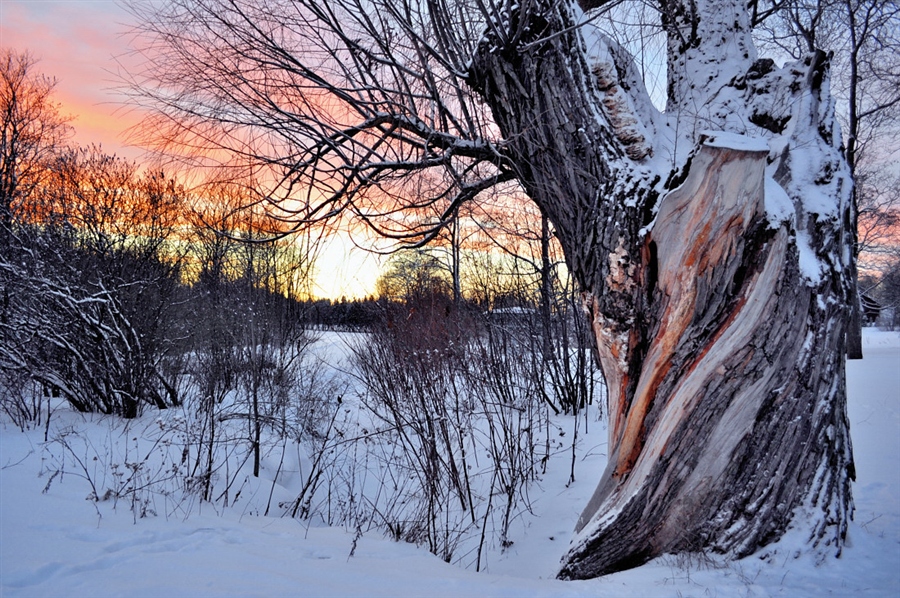 Фото жизнь