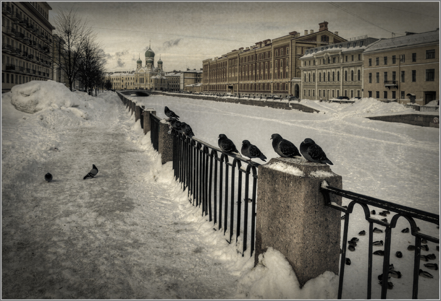 Фото жизнь
