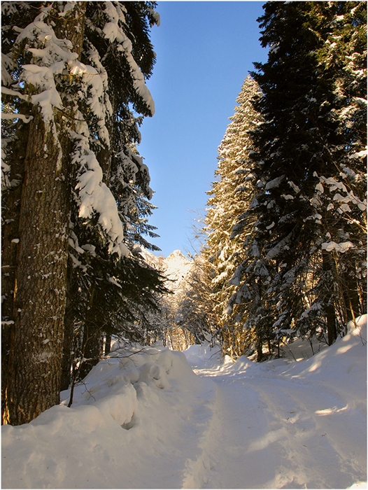 Фото жизнь