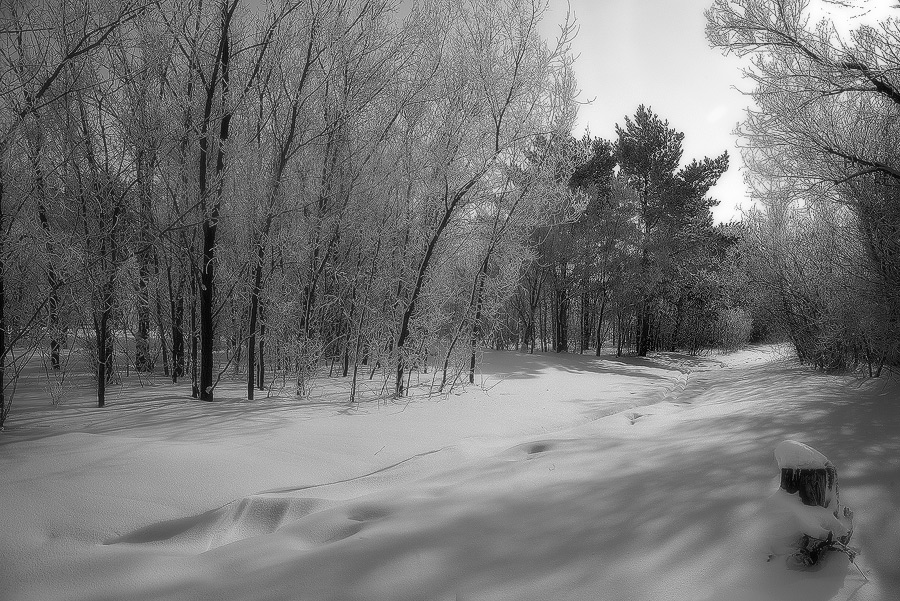Фото жизнь (light) - Anjur - корневой каталог - Последние дни зимы