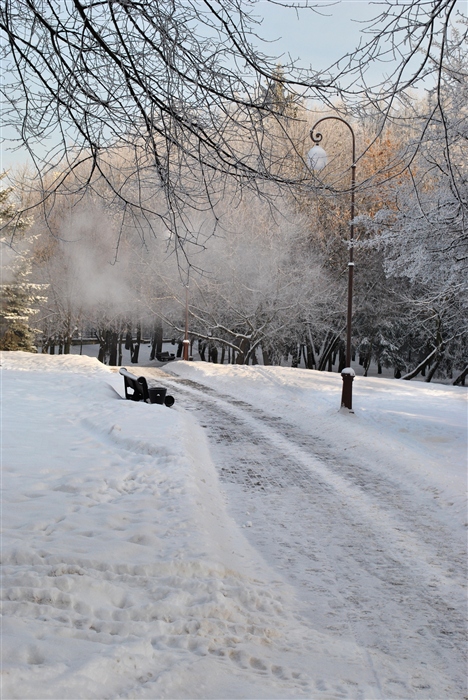 Фото жизнь