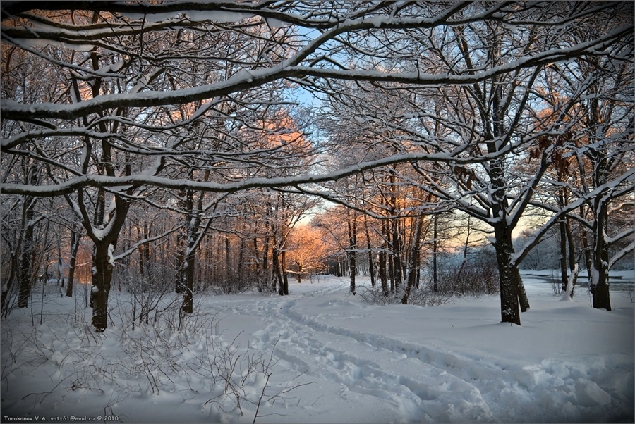 Фото жизнь