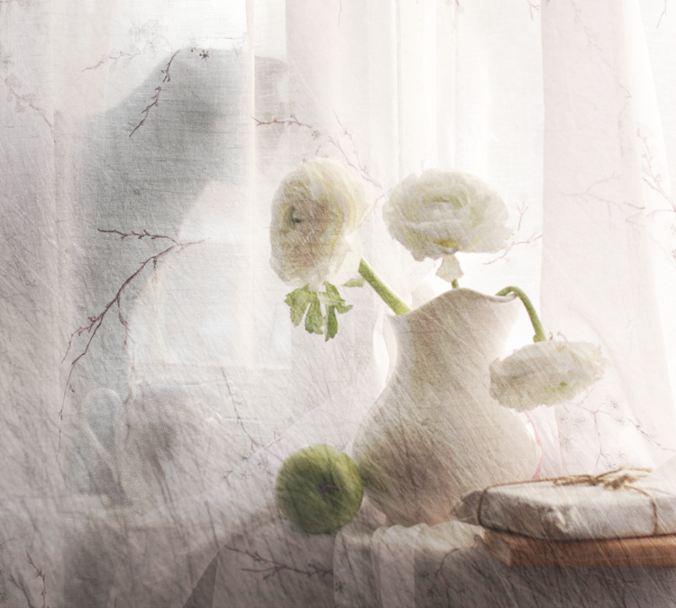 Фото жизнь (light) - Ольга Енаева - натюрморты,цветы - ***