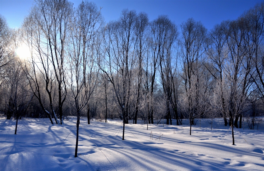 Фото жизнь