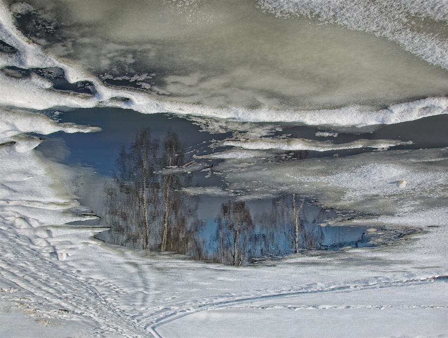 Фото жизнь