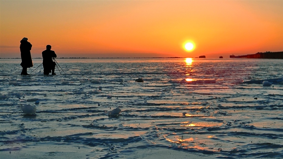 Фото жизнь
