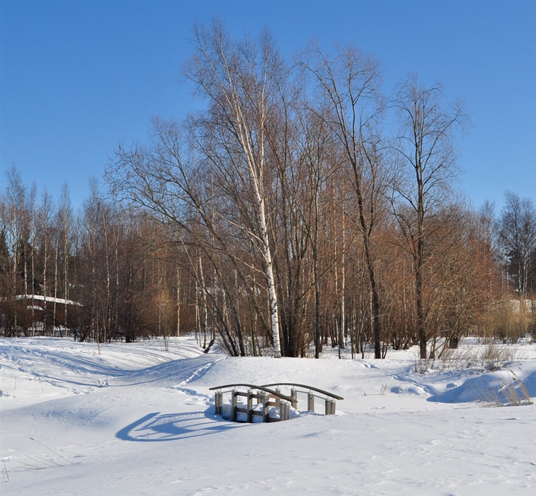 Фото жизнь