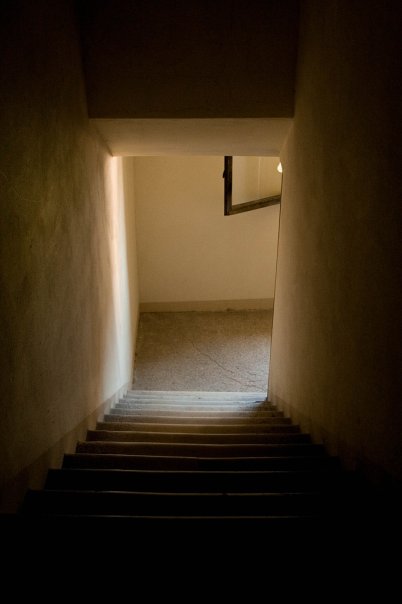 Фото жизнь (light) - Горбачева Анасатсия - корневой каталог - вниз по лестнице ведущей вверх