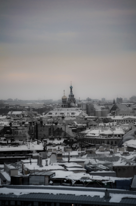 Фото жизнь (light) - Никаноров Павел - корневой каталог - Питер