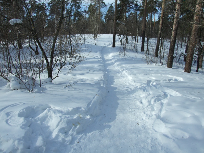 Фото жизнь