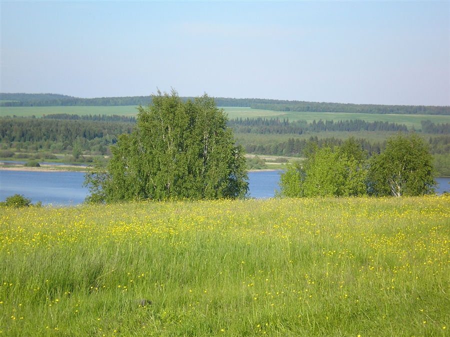 Фото жизнь