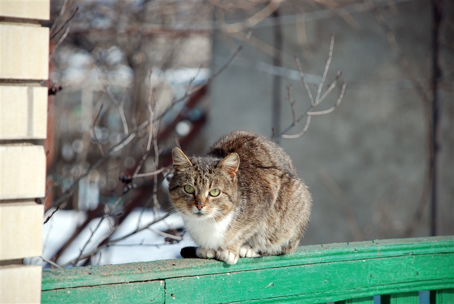 Фото жизнь
