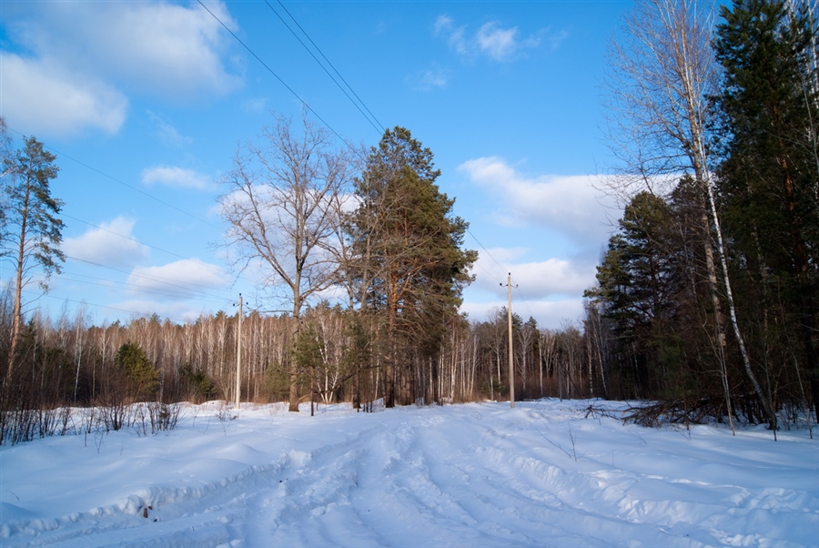 Фото жизнь