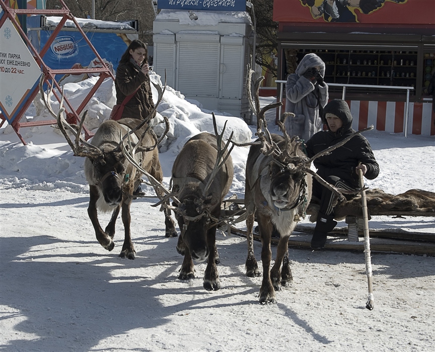 Фото жизнь