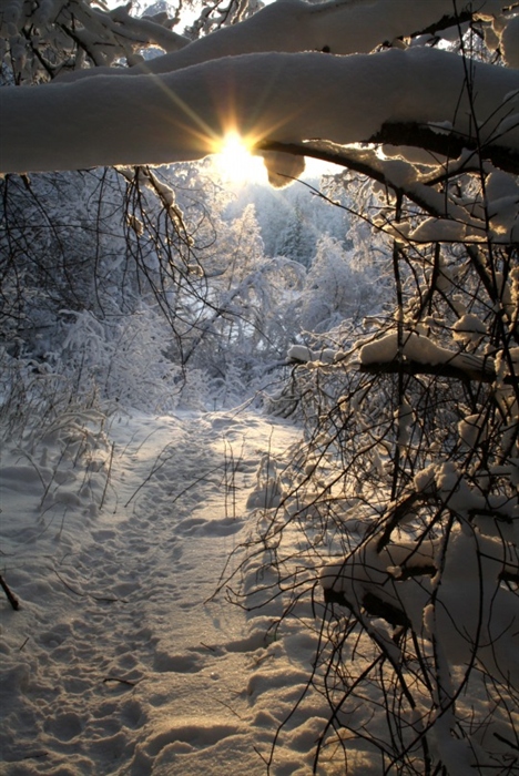 Фото жизнь