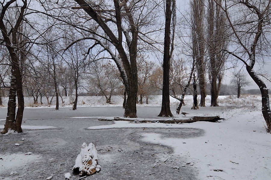 Фото жизнь