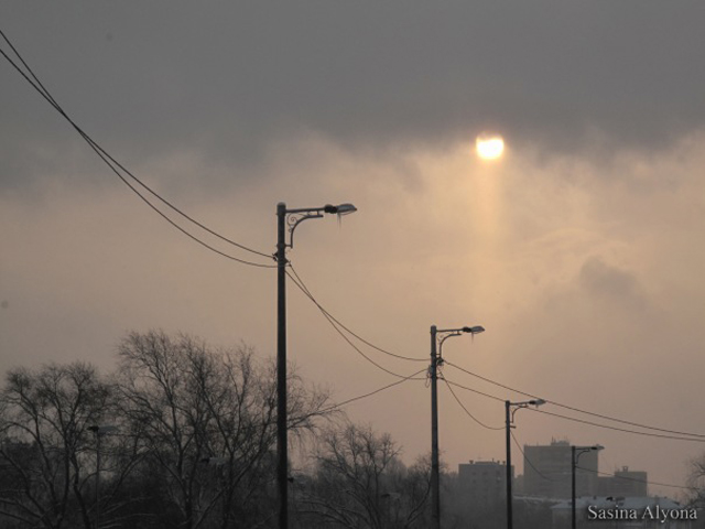 Фото жизнь (light) - AlyonaS - корневой каталог - Луч солнца...