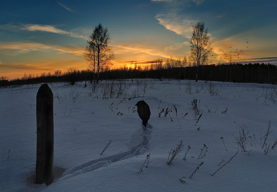 Фото жизнь