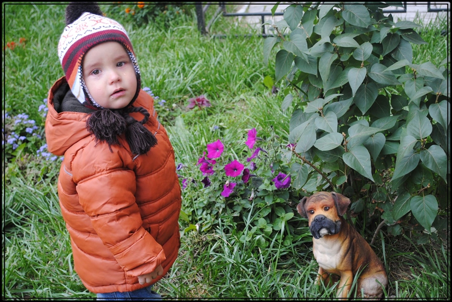 Фото жизнь