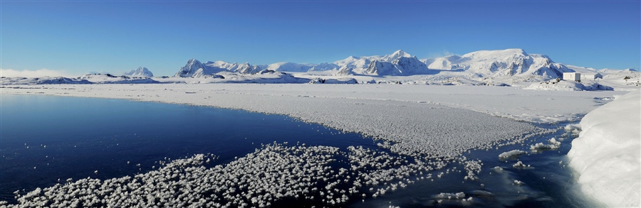 Панорама: Антарктический п-ов. Лето