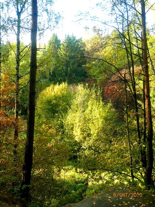 Осень в Ховрино...