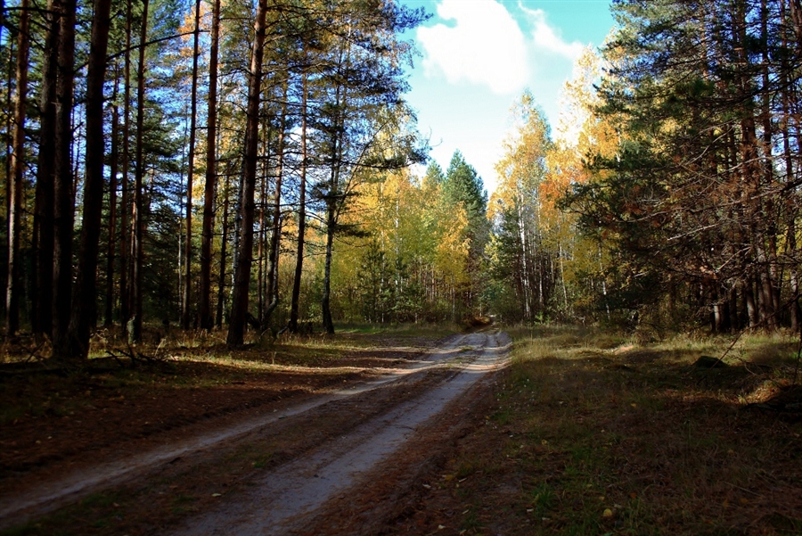 Фото жизнь