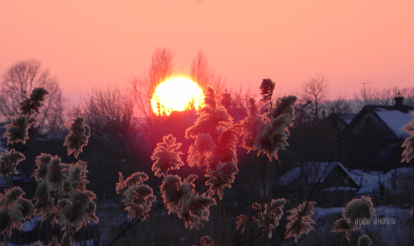 Закат солнца и тростник...Sunset and reed...