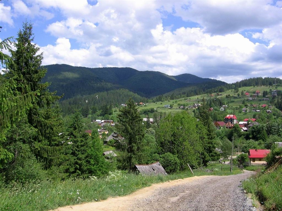 Фото жизнь