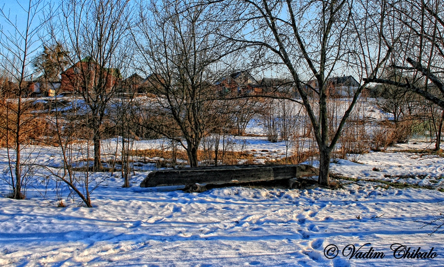 Фото жизнь