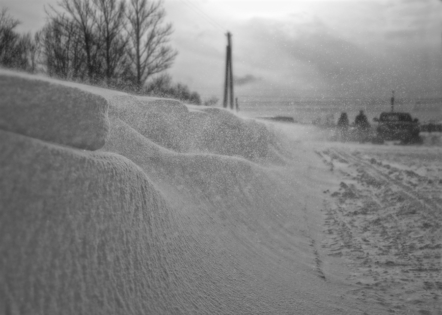 Фото жизнь