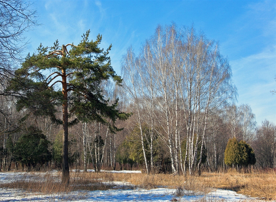 Фото жизнь