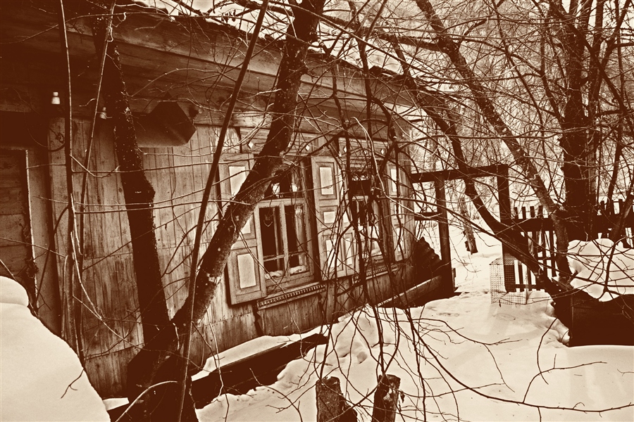 Фото жизнь