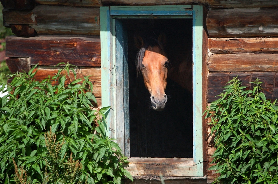 Фото жизнь