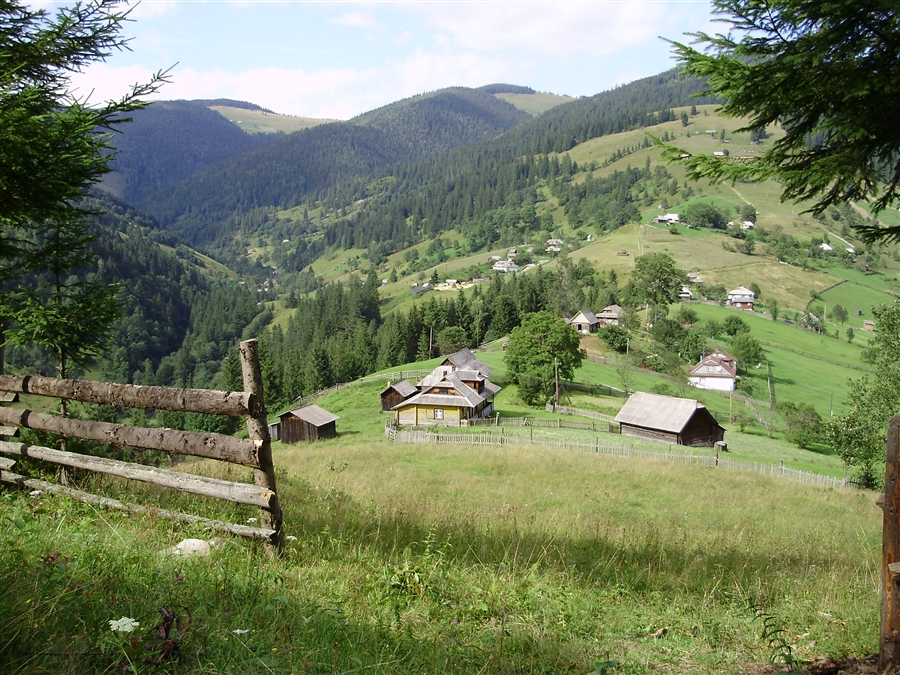 Фото жизнь