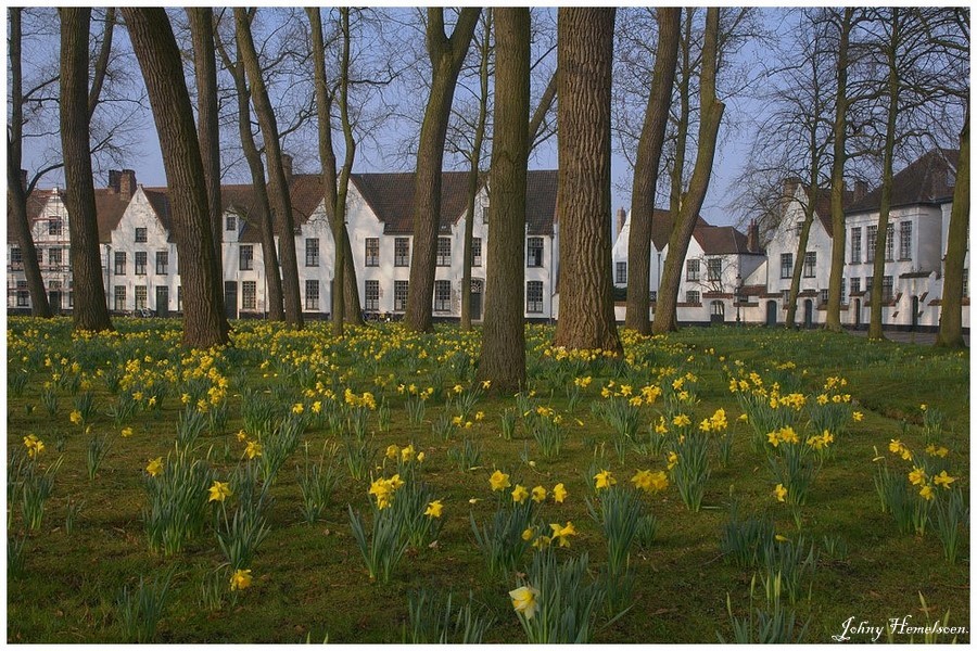 Фото жизнь (light) - Johny Hemelsoen - корневой каталог - Spring in the beguinage of Bruges.