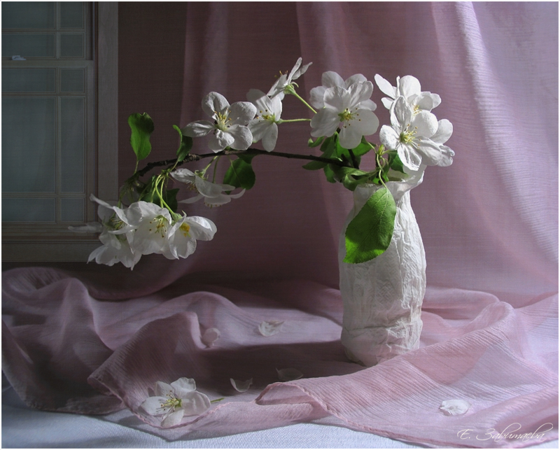 Фото жизнь (light) - Елена Завитаева - Натюрморты с цветами - Весна приходит в каждый дом