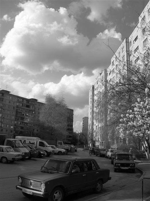 Фото жизнь