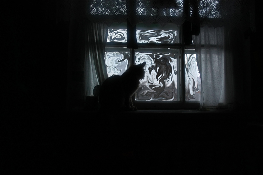 Фото жизнь