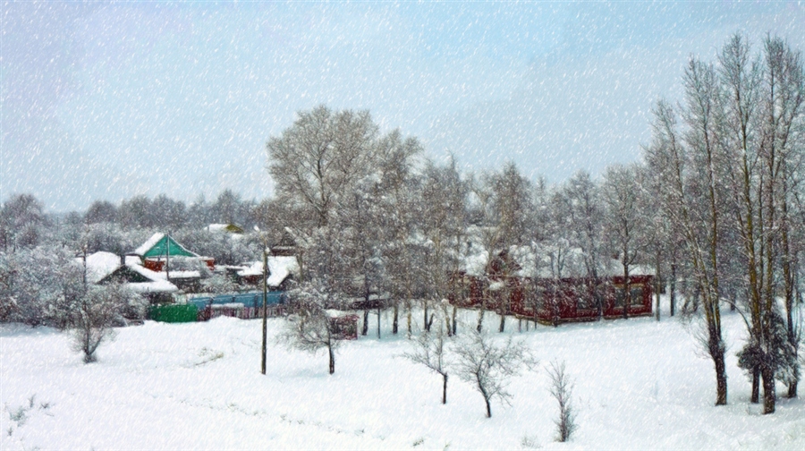 Фото жизнь
