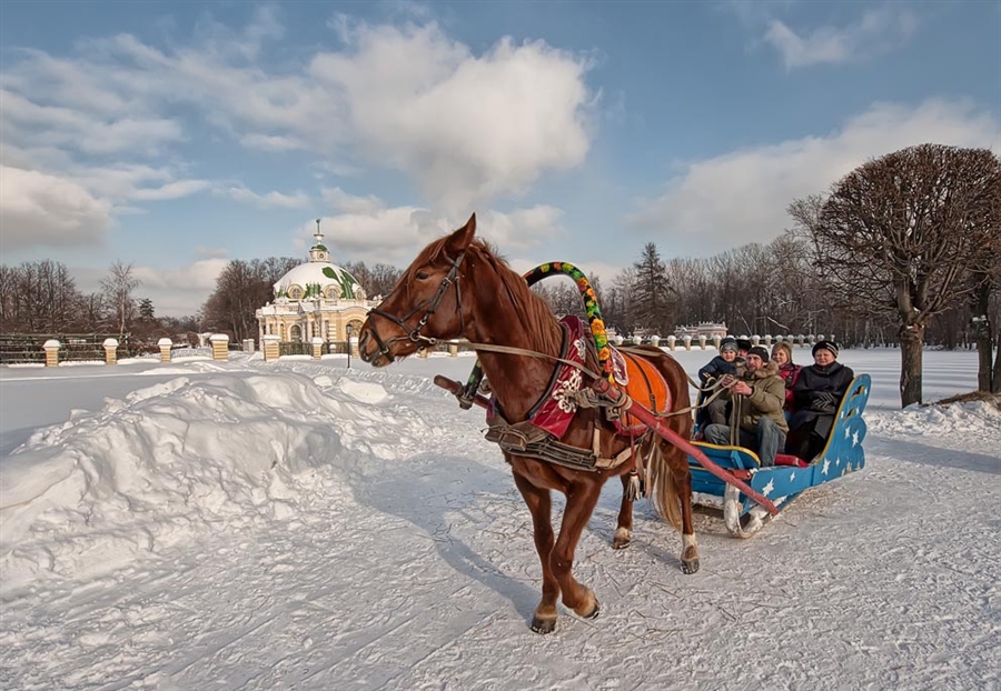 Фото жизнь