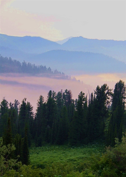 Фото жизнь