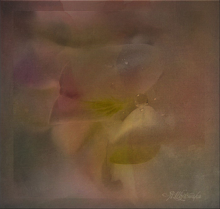 Фото жизнь (light) - Angela Wojtowska  - Четвёртое измерение... - Акварель весенних капель...