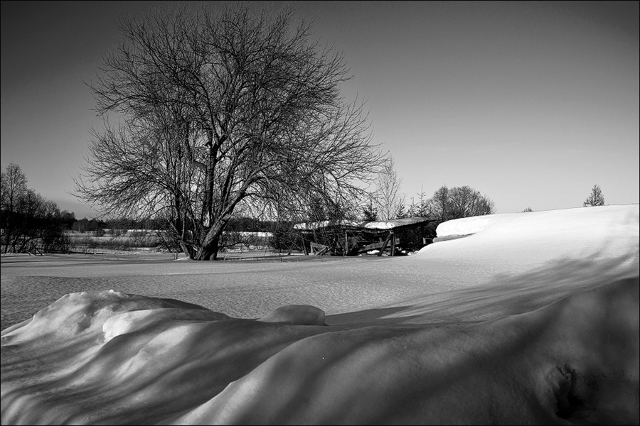 Фото жизнь