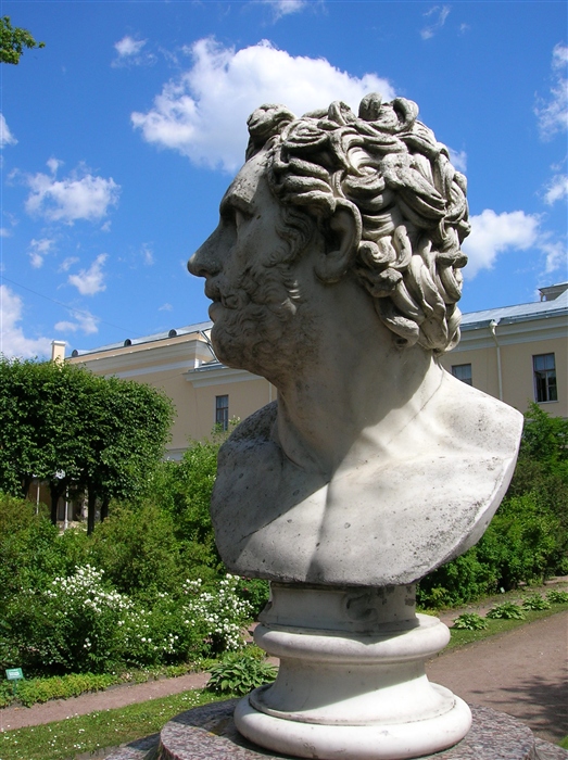 Фото жизнь