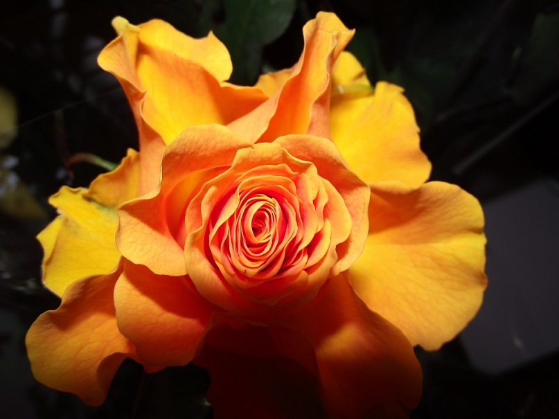 Фото жизнь (light) - i_will_be_Tania - все что у меня есть! - +++