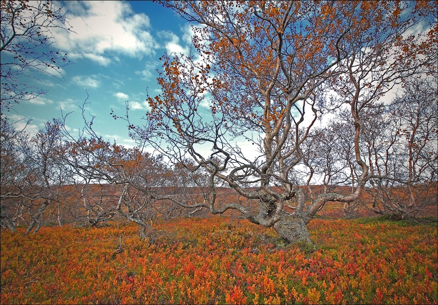 Фото жизнь