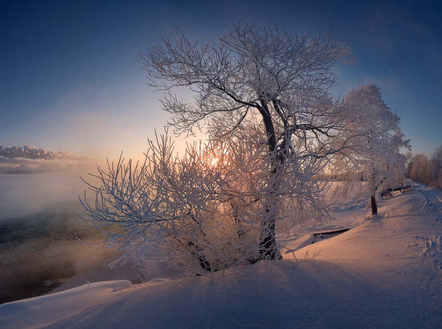 Фото жизнь